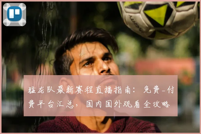 猛龙队最新赛程直播指南：免费_付费平台汇总，国内国外观看全攻略